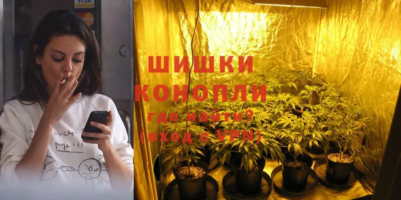 цены наркотик  Нефтегорск  Шишки марихуана Amnesia 